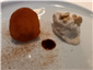 apricot and cheese
